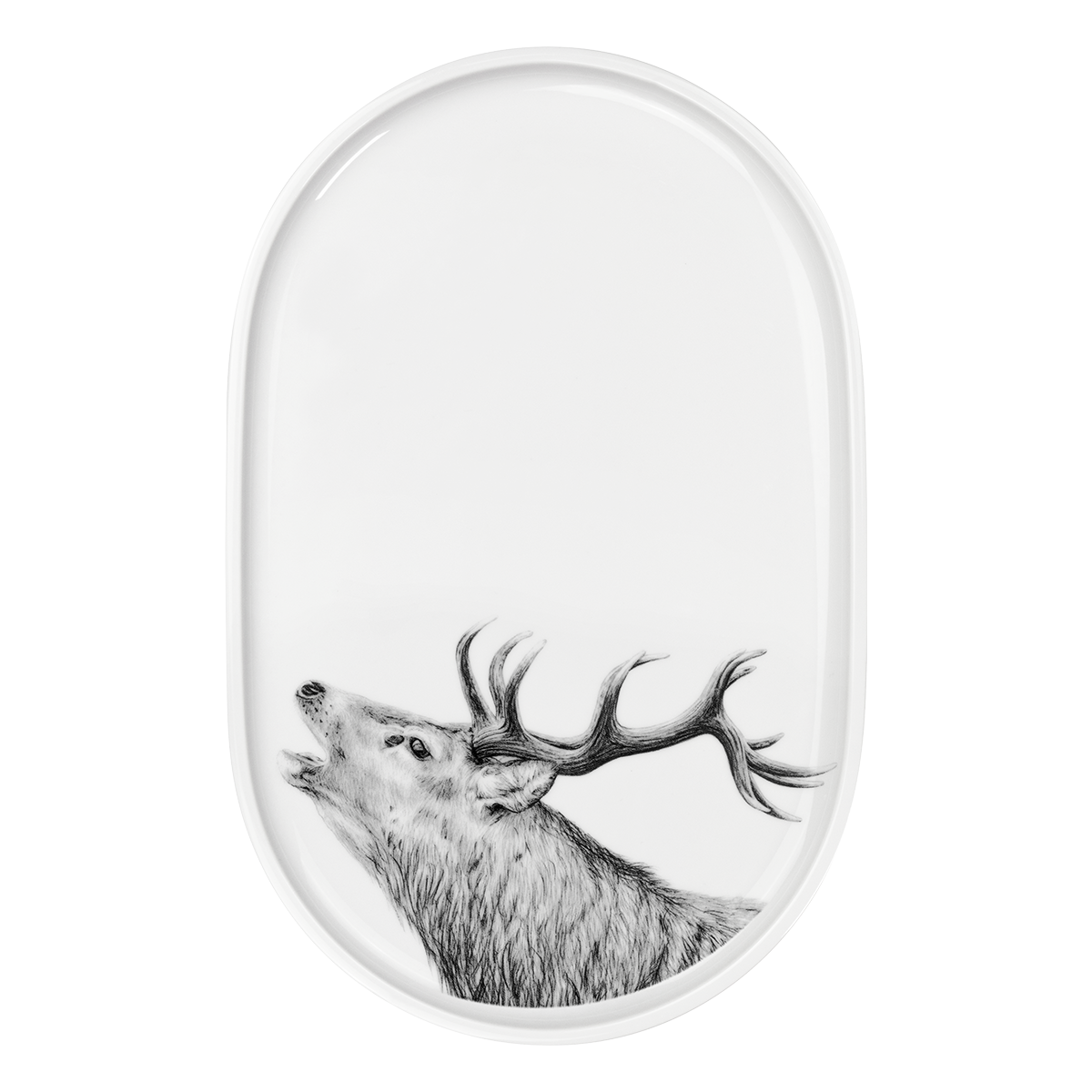 hirsch .