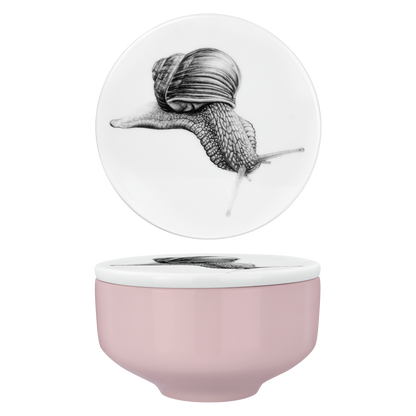 set 80 . deckel und schale