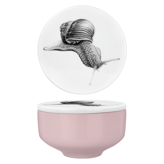 set 80 . deckel und schale