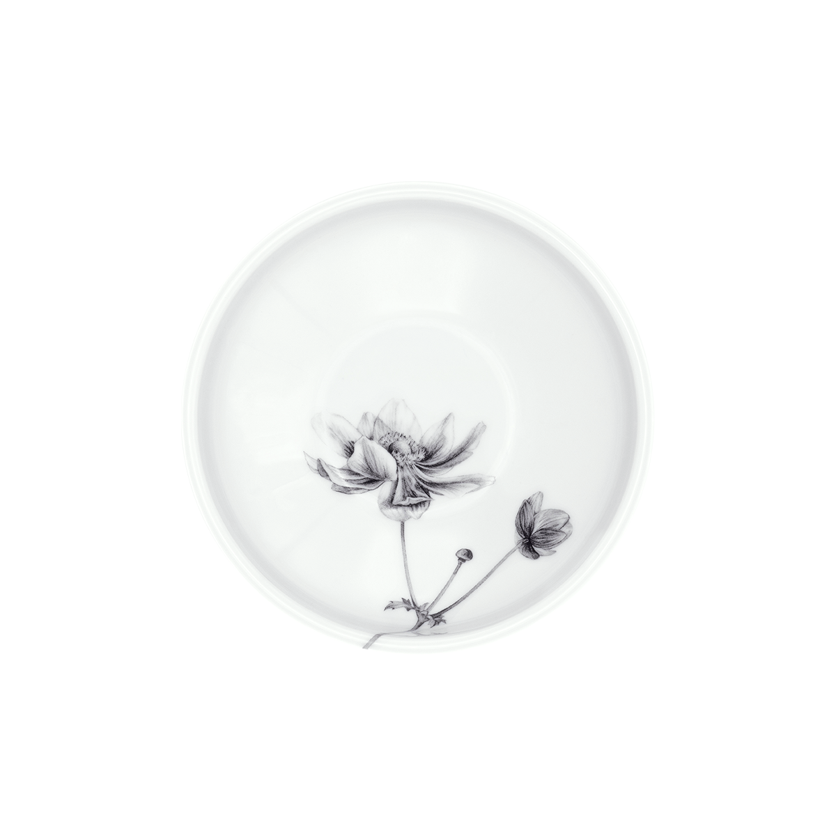 schale 12 . anemone .