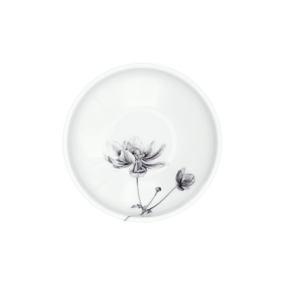 schale 12 . anemone .