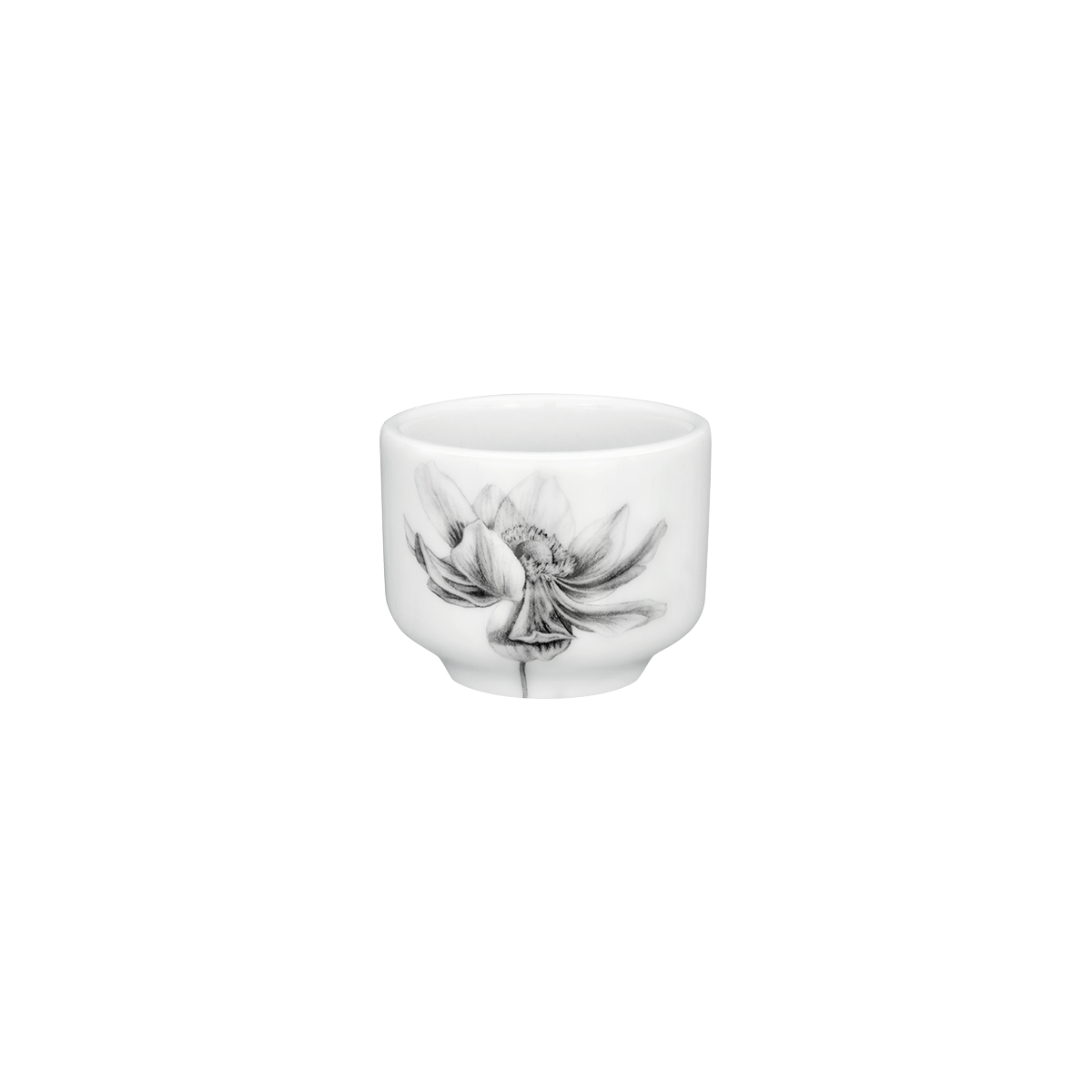 schale 6 . anemone .