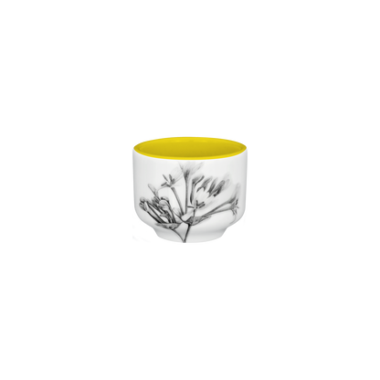 schale 6 . geißblatt . das letzte laub .