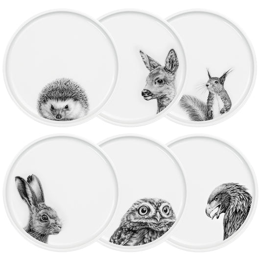 set 1 . tierisch schön . 6x teller 21 cm