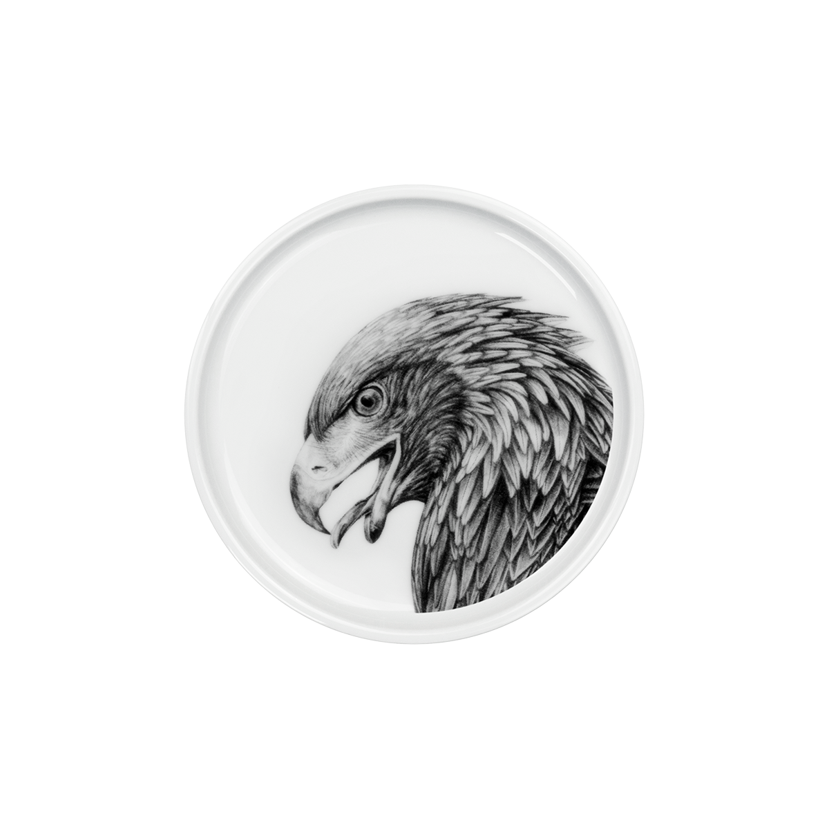 teller 17 . adler .