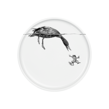 teller 21 . ente grüßt frosch .