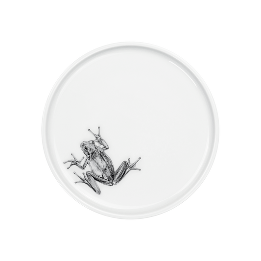 teller 21 . frosch .