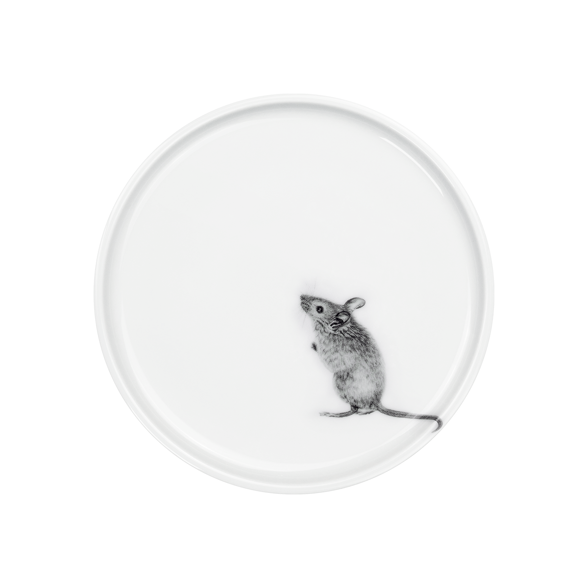 teller 21 . maus .