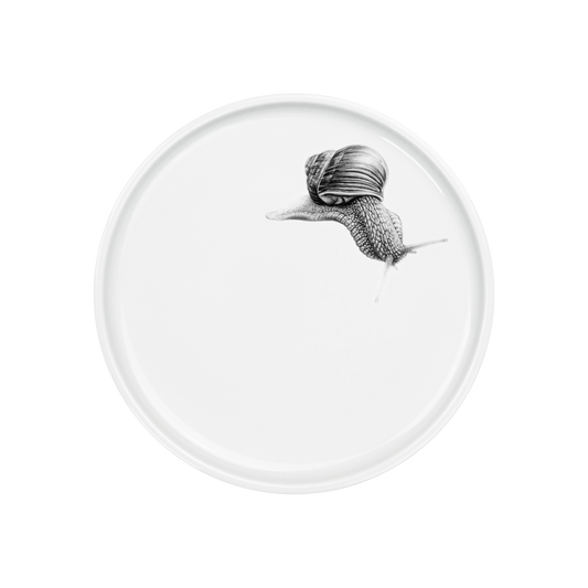teller 21 . schnecke .