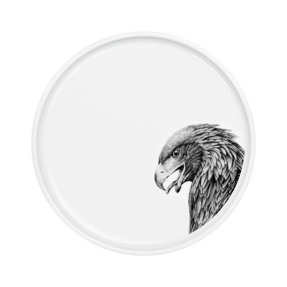 teller 24 . adler .