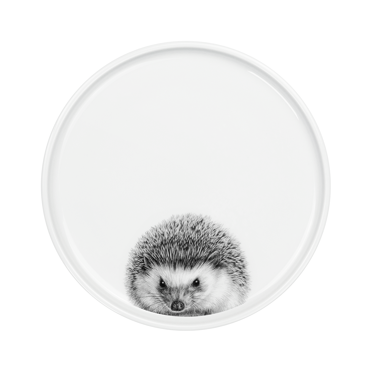 teller 24 . igel .