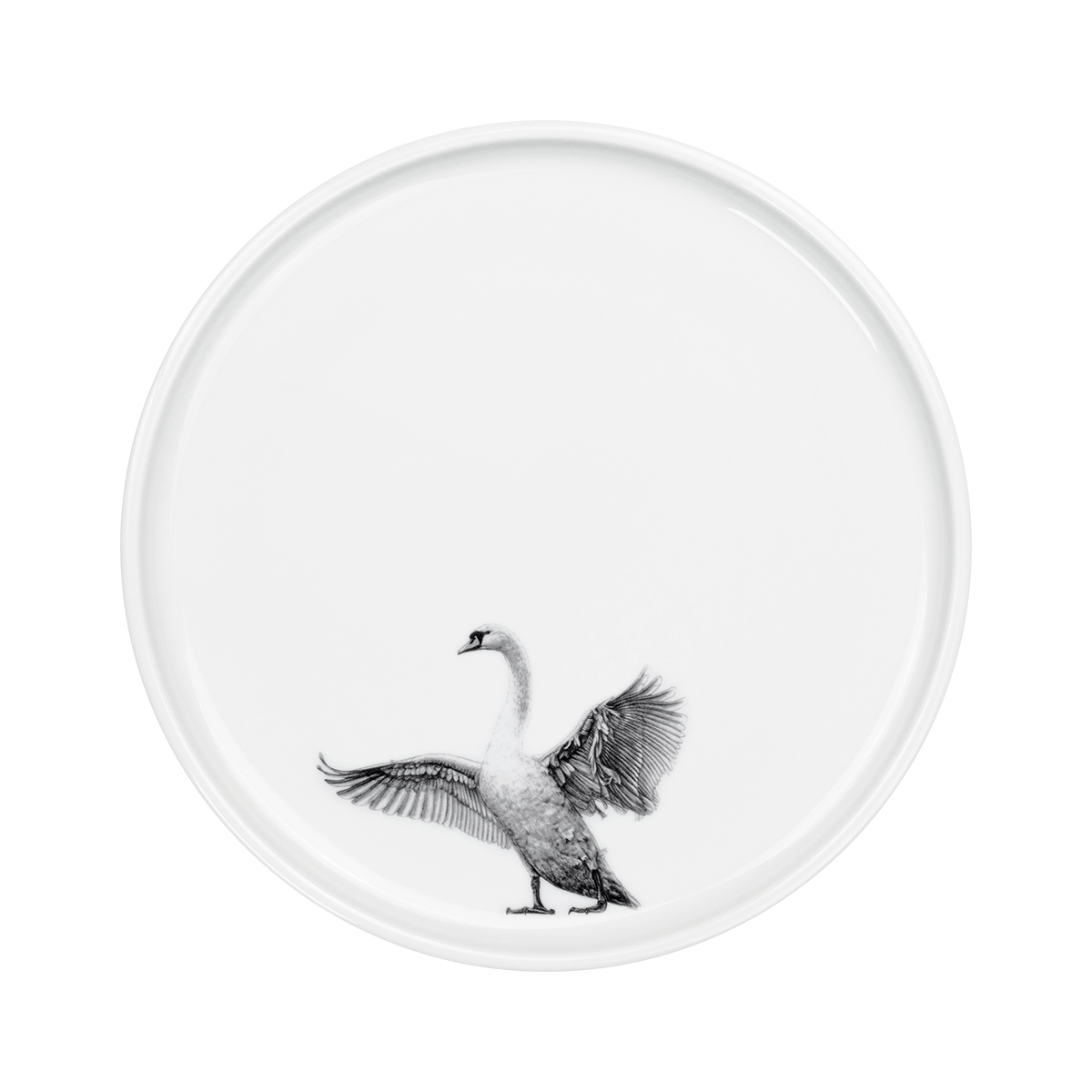 teller 24 . schwan .