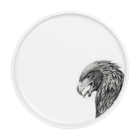teller 26 . adler .