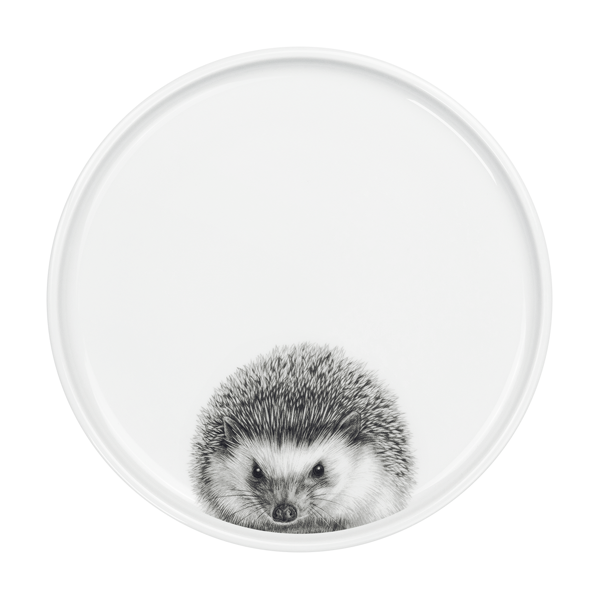 teller 26 . igel .