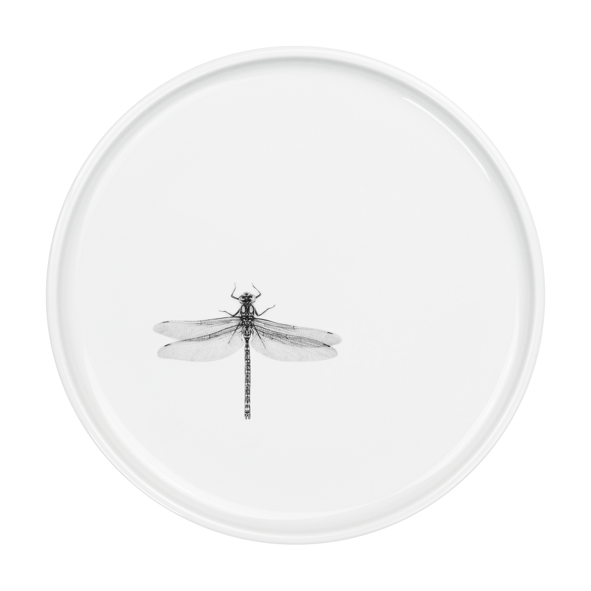 libelle .