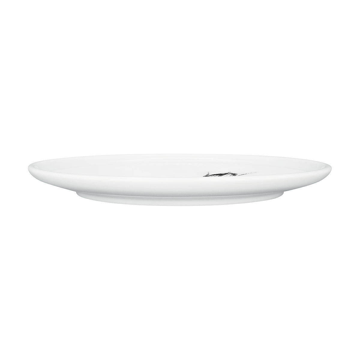 teller 26 . maikäfer .