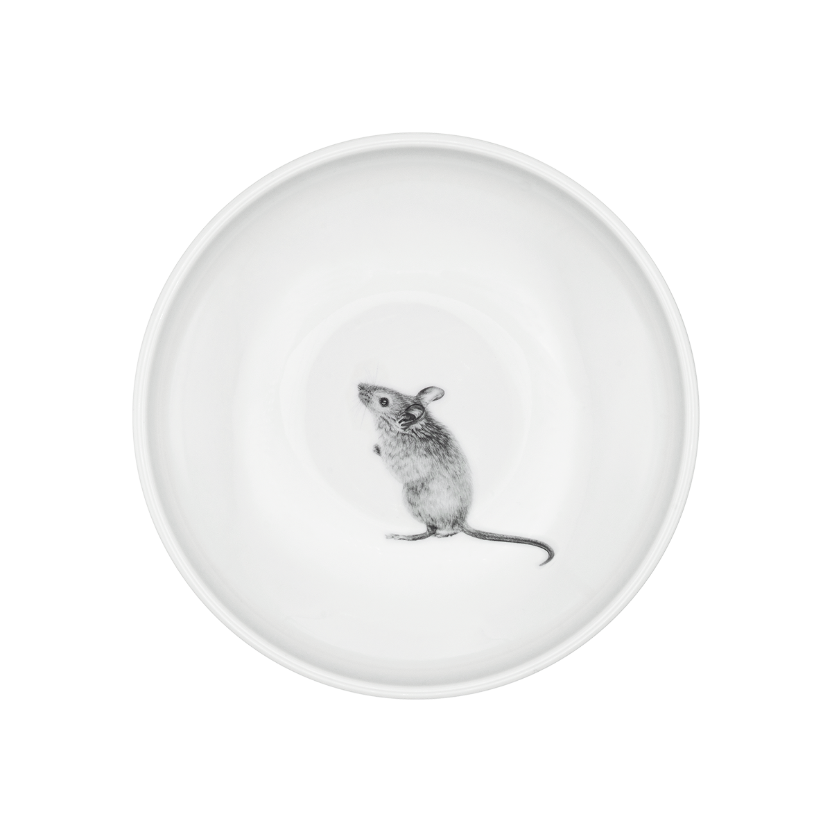 teller 21 tief . maus .