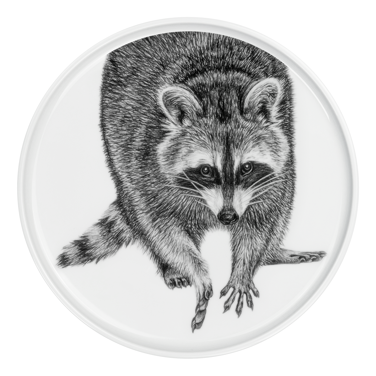 wandteller 28 mit beigelegtem aufhänger . waschbär .