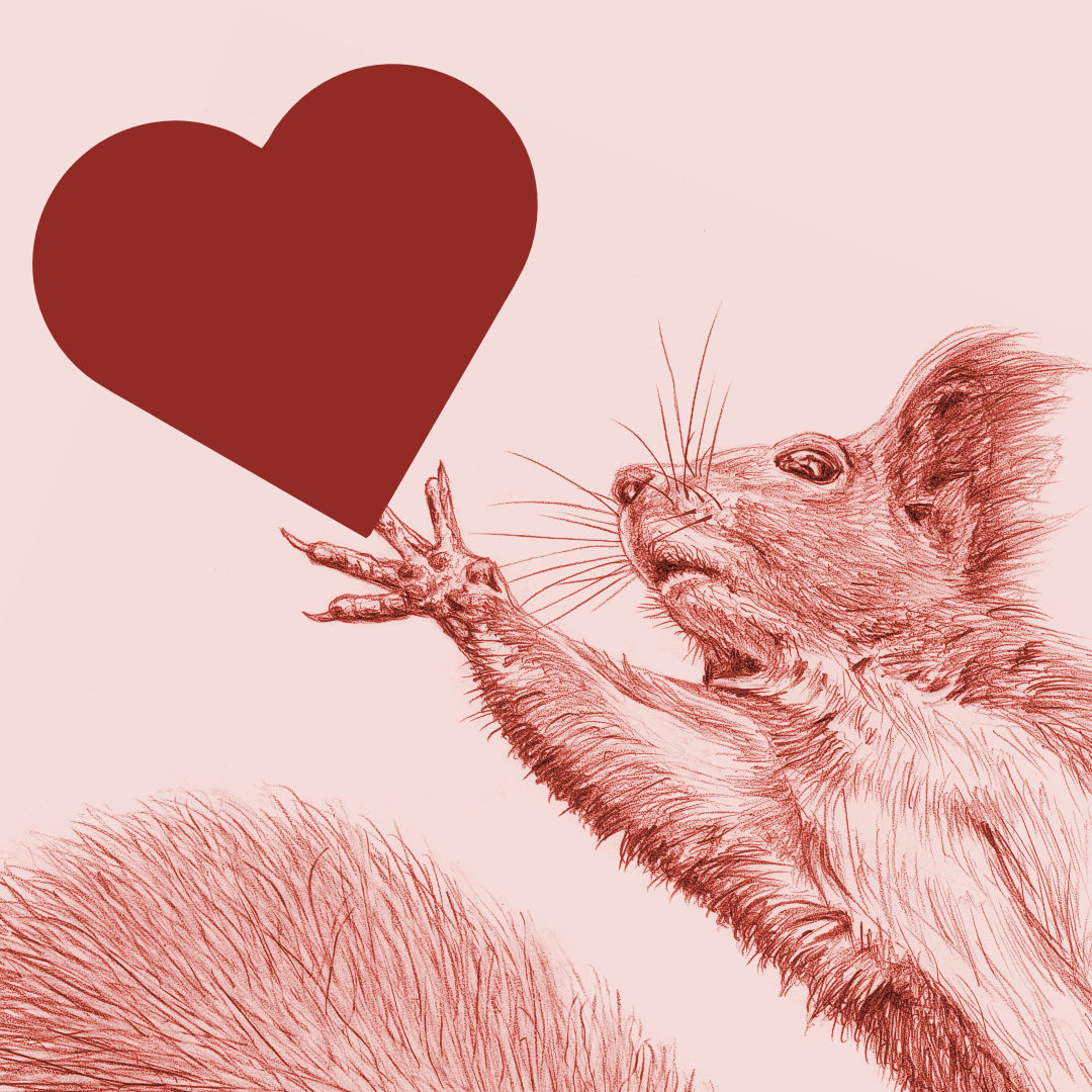 valentinstag